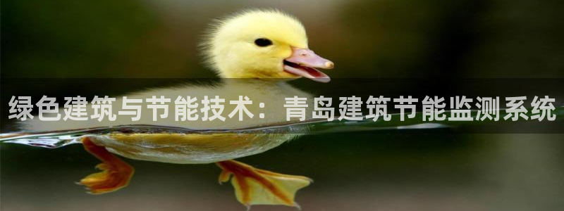 e尊国际-e尊国际官网：绿色建筑与节能技术：青岛建筑节能监测系统