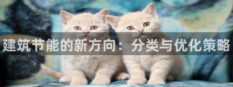 e尊国际客户端下载：建筑节能的新方向：分类与优化策略