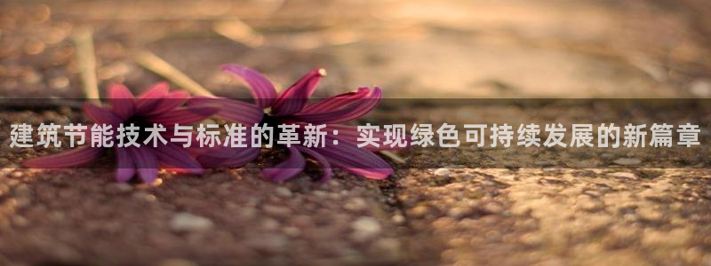 e尊国际-e尊国际官网