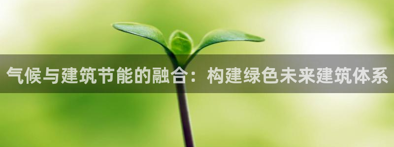 e尊国际app