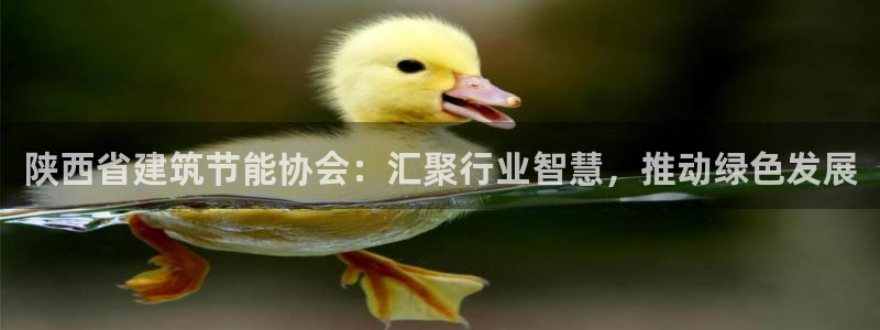 e尊体育