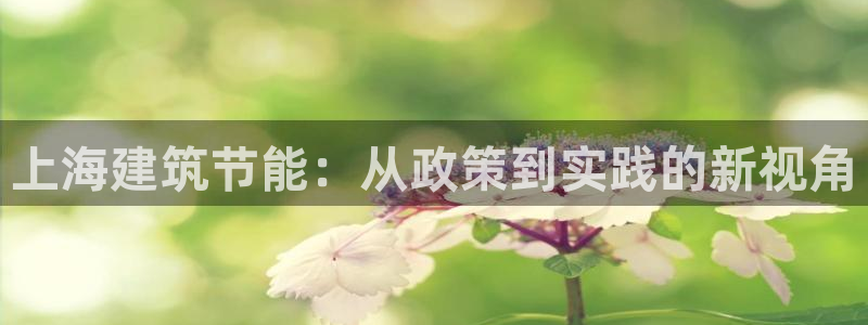 e尊国际是干什么的