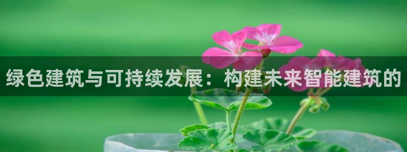e尊国际客户端下载