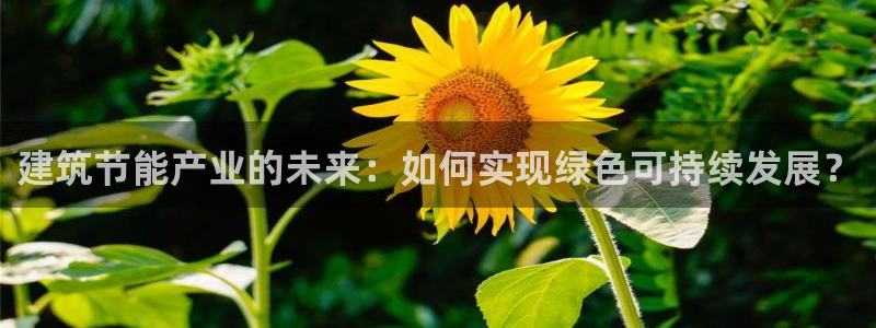 谁知道e尊国际的网址：建筑节能产业的未来：如何实现绿色可持续发展？