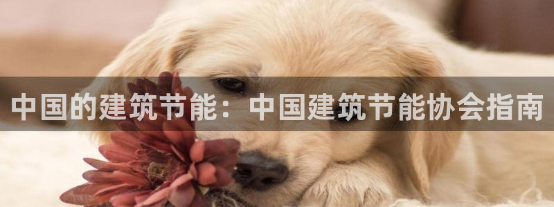 谁知道e尊国际的网址