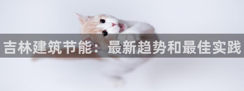 谁知道e尊国际的网址