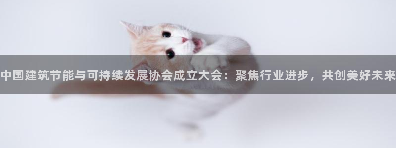 e尊国际是个黑网：中国建筑节能与可持续发展协会成立大会：聚焦行业进步，共创美好未来
