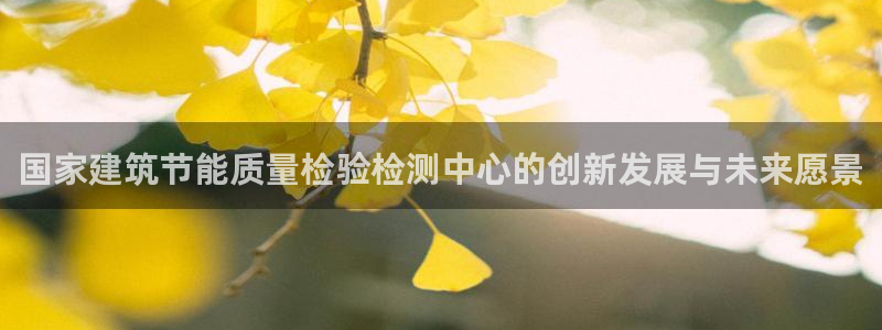 e尊国际是干什么的：国家建筑节能质量检验检测中心的创新发展与未来愿景