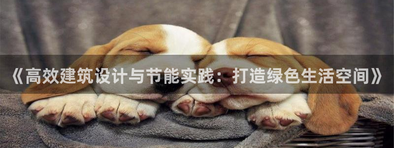 e尊国际客户端下载：《高效建筑设计与节能实践：打造绿色生活空间》