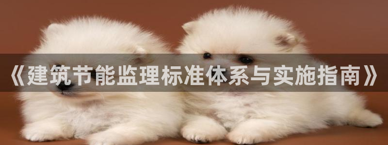 e尊体育：《建筑节能监理标准体系与实施指南》
