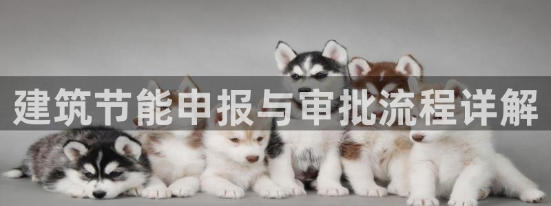 e尊国际娱乐官网地址