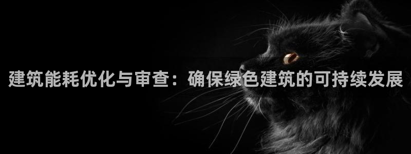e尊国际平台：建筑能耗优化与审查：确保绿色建筑的可持续发展