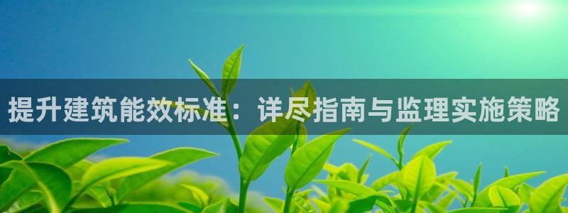 e尊国际客服：提升建筑能效标准：详尽指南与监理实施策略