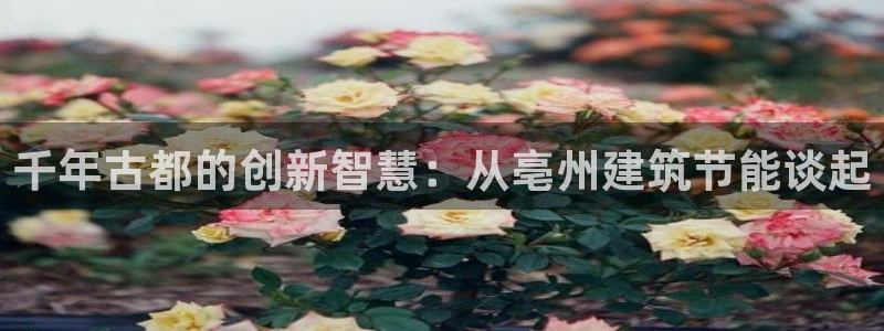 e尊平台：千年古都的创新智慧：从亳州建筑节能谈起