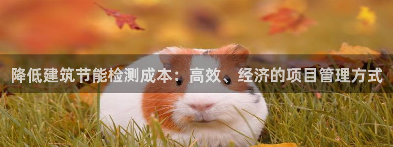 e尊国际是个黑网：降低建筑节能检测成本：高效、经济的项目管理方式