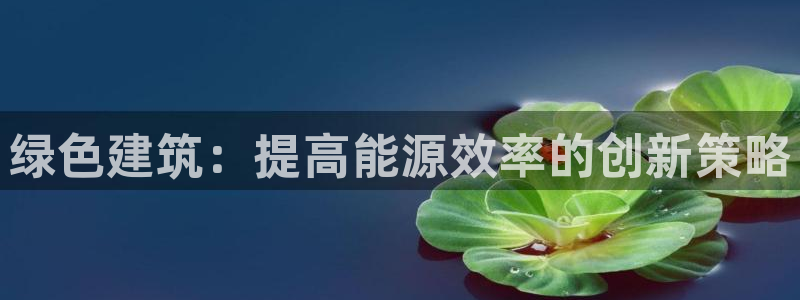 e尊国际客户端：绿色建筑：提高能源效率的创新策略