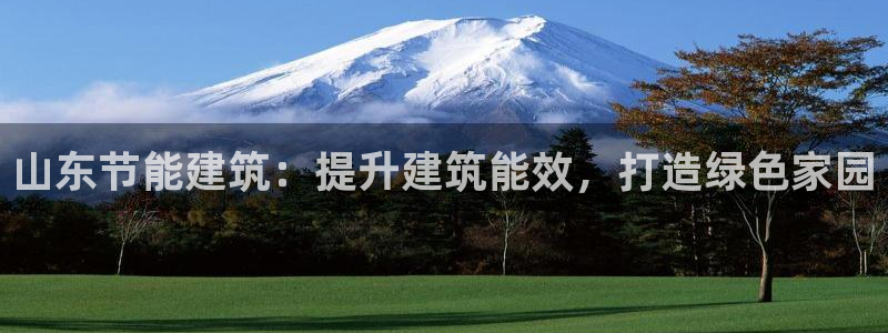 e尊国际网址：山东节能建筑：提升建筑能效，打造绿色家园